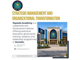 Strategic Management And Organizational Transformation Guide