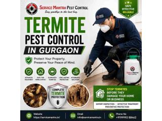 Affordable Termite Pest Control in Gurgaon | Reliable Treatment by Service Mantra