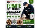 Affordable Termite Pest Control in Gurgaon | Reliable Treatment by Service Mantra