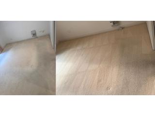 Same Day Carpet Cleaning Melbourne | Professional Carpet Care