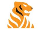 Resorts By THE BAAGH – One of the Best Wildlife Resorts in the Corbett