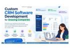Custom CRM software development for growing companies