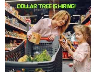 Urgent Openings: Dollar Tree Stockers & Clerks Needed