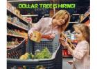 Urgent Openings: Dollar Tree Stockers & Clerks Needed