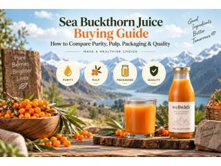 Sea Buckthorn Juice Buying Guide: How to Choose the Best Quality