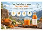 Sea Buckthorn Juice Buying Guide: How to Choose the Best Quality