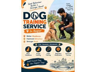 Dog Training Service