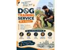 Dog Training Service