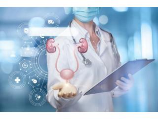 Congenital Penile Curvature Treatment in London: Expert Care
