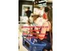 Immediate Hiring: Dollar Tree Retail Crew & Customer Assistants