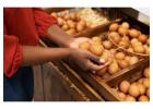Eggs Distributor in Singapore for Fresh Quality Eggs 