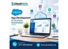 Salesforce App Development for Business Automation – CloudMetic