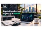 Digital Marketing Agency in Noida for Growing Businesses