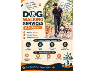 Dog Walking Services
