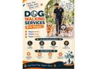 Dog Walking Services