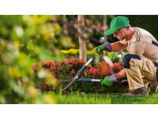 Professional Commercial Landscapes
