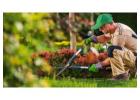 Professional Commercial Landscapes