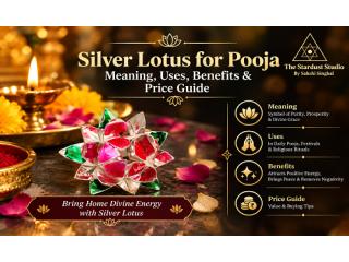 Buy Silver Lotus Online at Best Price | The Stardust Studio