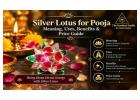 Buy Silver Lotus Online at Best Price | The Stardust Studio