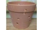 Orchid Pots for Better Drainage and Stronger Plants