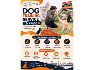 Dog Training Service