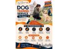 Dog Training Service