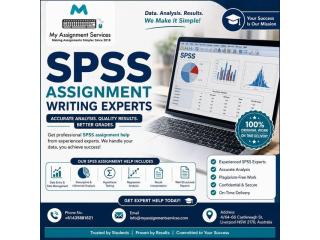 SPSS Assignment Support for Accurate Data Analysis