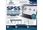 SPSS Assignment Support for Accurate Data Analysis
