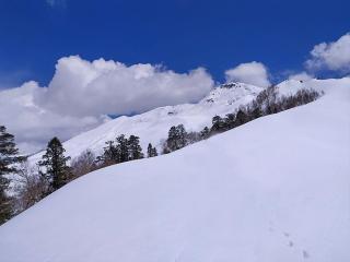 Gulabi Kantha Trek – Peaceful Himalayan Trek in Uttarakhand