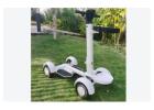 EcoRider G2 E7-1 4Wheel Foldable Golf Electric Skateboard