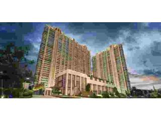 Which property should I buy for long term investment in Noida