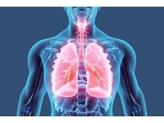 Pulmonology Treatment in Gujarat