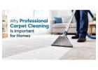 Why Professional Carpet Cleaning is Important for Homes