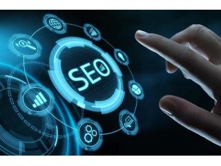 SEO Services Provider in Noida for Online Business Growth