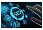 SEO Services Provider in Noida for Online Business Growth