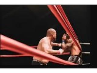 Big Dawg Bare Knuckle Boxing Shows Action With Bare Knuckle Fight Videos