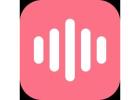 Instagram Reels Audio Downloader – Download Reel Audio Online