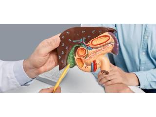 Gastroenterology Expertise for Digestive Health in Ludhiana