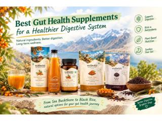 Best Gut Health Supplements for a Healthier Digestive System