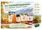 Best Gut Health Supplements for a Healthier Digestive System