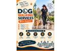 Dog Walking Services