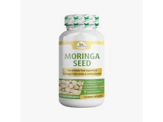 Seed Wellness Special – Save on Moringa Seed Capsules Today