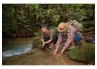 Explore Tambopata National Reserve Tours with Tree House Inn