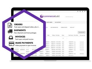 Sage Customer Portal for Modern B2B Customer Services