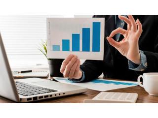 Virtual CFO Services for Growing Businesses