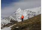 Roopkund Trek: High-Altitude Adventure to Skeleton Lake