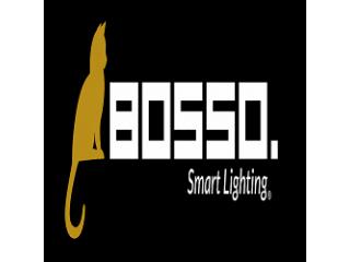Permanent Outdoor Lighting Boise