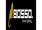 Permanent Outdoor Lighting Boise