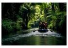 Sandoval Lake Tours & Amazon Wildlife Adventure