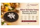 Buy Silver Tortoise Online at Best Price | The Stardust Studio